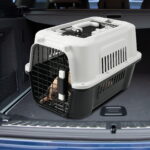 65cba597-4120-4b21-a50c-6d29540681c7.c3c2fad6edb7f2d38663299c16a33145-150x150